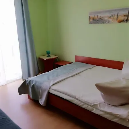 Korona Проживание в семье *