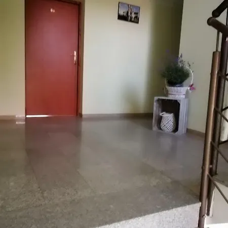 Korona Проживание в семье