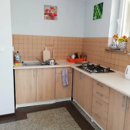 Проживание в семье Korona Мендзыводзе
