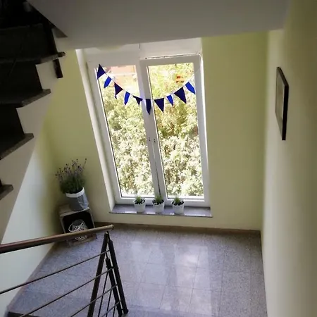 Проживание в семье Korona *